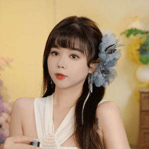 French Style Butterfly Net Hair Claw Womens Volume Enhancing Hair Accessories Shark Clamp Back Hair Styling Headwear