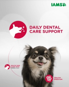 IAMS Proactive Health Premium Dog Food for Adult Dogs Mother and Baby Dog 1.5kg