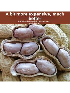 Salty & Crispy Sunflower Seeds in Shell with Garlic and Five Spice Flavors