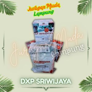 benih bibit kecambah sawit DxP SRIWIJAYA 5 beli 10 bonus 1