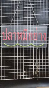 ปลาหมึกย่าง ขนาด 60 X 30 X 1.5 cm ป้ายไฟนีออน หน้าร้าน ป้ายไฟตัวอักษร ตกแต่งหน้าร้าน สร้างความโดดเด่นให้ร้านคุณ