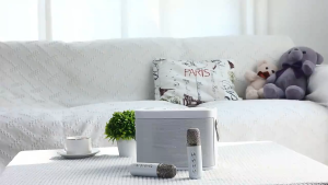 [😀SG Ready Stock]YS-224 Karaoke Set Portable Wireless Home KTV System Mini Bluetooth Speaker With 2 Mic Amplifiers Home Sing