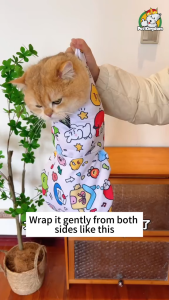Multi functional cat wrap anti scratch and anti run cat fixed towel pet wrap cloth cat fixed wrap