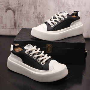 Mens Summer 2025 New Hole Punch Thick Bottom Heightening Casual Shoes Youth Small White Board Shoes Breathable round Toe