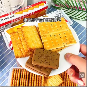 Khong Guan Biscuits Grape Flavored 200g Butter Coconut Biscuits Chocolate Biscuits 康元巧克力饼干提子饼干
