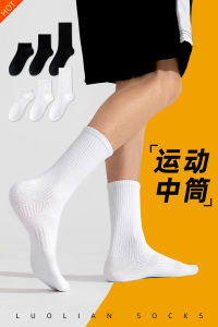 Socks Men Autumn Mid-Calf Length Pure Cotton Towel Bottom Long Tube Boys Sports Students White Socks Zhuji Black