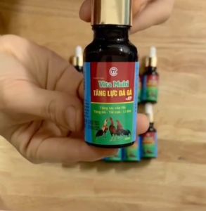 Tăng lực gà đá cấp tốc tăng bo tải cựa lì đòn hồi phục nhanh chai nhỏ giọt. Thú y Trường Thịnh Tăng Cường Sức Mạnh Cơ Bắp Cho Gà - Lazada