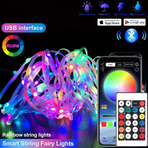 Dreamcolor Christmas Lights String Bluetooth Music RGBIC Lighting Addressable Party Wedding Garland Decoration Outdoor USB DC5V