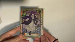 60 PCS 67X92mm Standard Size Art Anime Card Sleeves Top Loading Board Game Card Sleeves Protector for MTG/PTCG/PKM(Fern)
