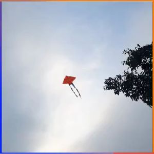 Diều hình đại bàng ngộ nghĩnh chất liệu vải cao cấp chống nước + tặng kèm cuộn dây dù 150m