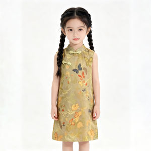 Chinese Style Fashionable Summer Dress for Girls