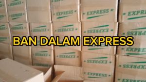 Promo 1 Dus 30 pcs Ban dalam Ring 17 dan Ring 14