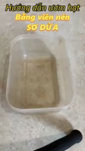 Viên nén sơ dừa ươm hạt viên ươm hạt kích mầm 1 viên