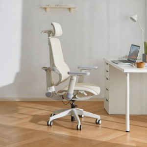 BOJOJAN | Ergonomic Back-following Office Chair