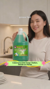 CONCENTRATED DISHWASHING LIQUID CALAMANSI 1 GALLON STAIN REMOVER GENTLE ON HANDS 10X CLEANING POWER