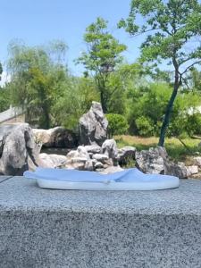 RAINCATO | Waterproof Slip-resistant Rain Shoe Covers for Adults
