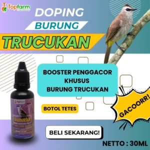 Vitamin Dan Doping Burung Trucukan / Vitamin Booster Burung Trucukan / Booster Burung Trucukan / Booster Penggacor Burung Trucukan / Vitamin Penggacor Burung Trucukan / Vitamin Burung Trucukan Cepat Gacor / Doping Burung Trucukan