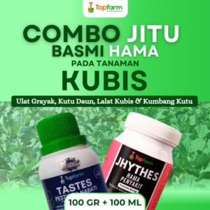Insektisida Topfarm / Obat Ulat Kubis Ampuh / Obat Ulat Untuk Tanaman Kubis / Obat Racun Untuk Ulat Kubis / Obat Ulat Tanaman Kubis Kol / Obat Ulat Kubis Terbaik / Obat Ulat Pada Tanaman Kubis