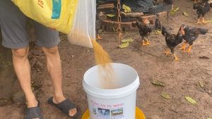 MÁNG ĂN CHO GÀ VỊT HÀNG MỚI 100% BỀN CHẤT LƯỢNG (BỘ 2 MÁNG)