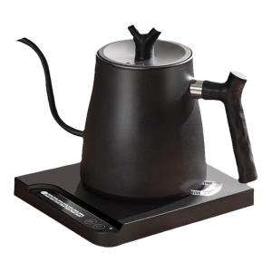 PAKCHOICE | Temperature Control Electric Kettle