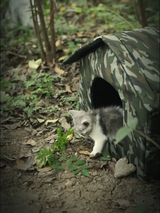 Outdoor Stray Cat House Windproof Rainproof Warm Shelter Winter Rest Nest for Backyard Feral Cats