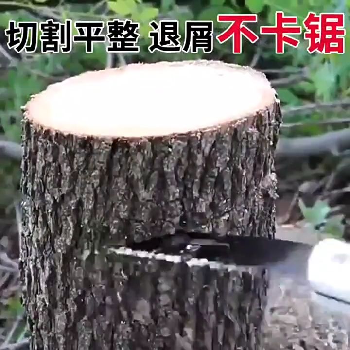 10 อันดับเลื่อยพับตัดกิ่งไม้ ยี่ห้อไหนดี? อัปเดตปี 2026