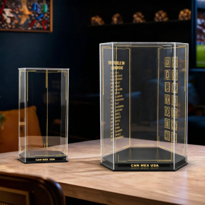 light your bricks | Lighted Dust-proof Display Case for LEGO Trophy