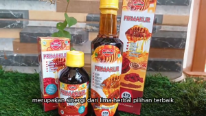 Primakur Ath Thoifah Obat Herbal Menaikan Trombosit 470 gr