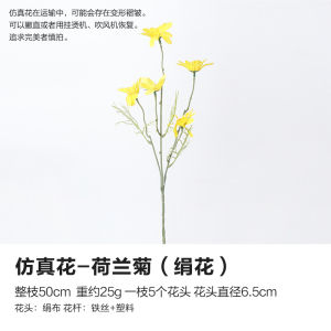 Creative Wood Bead Elastic Rope Wall Photo Display Board Desktop Organizer Decorative Hanging Rope Accessory from China