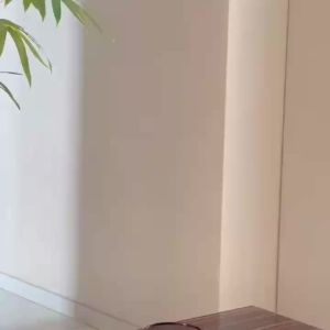 Lọ Hoa Thủy Tinh Hiện Đại Trong Suốt Hình Trụ Trang Trí Nhà Cửa Theo Phong Cách Zen Vật Trang Trí Trung Tâm Bàn Ăn Thích Hợp Cho Cắm Hoa Ikebana Một Cành.