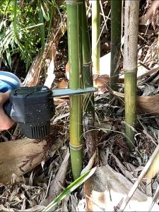 Taffware Chainsaw Cordless 21V 4 Inch 800W dengan Baterai Luminous dan Sistem Gergaji Tanpa Kabel