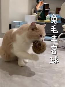 7o | Natural Rabbit Fur Toy Cat Toy