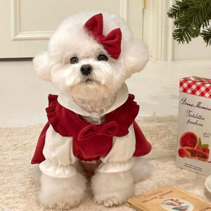Autumn Winter Spring Dog Dress for Small Breeds like Teddy Bichon Pomeranian Cat Skirt Casual Style Pet Clothing Accessories