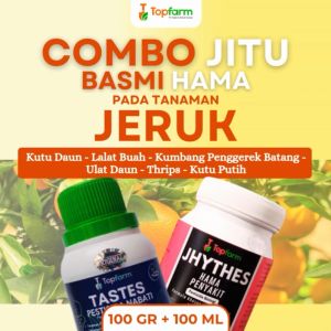 Insektisida Topfarm: Solusi Terbaik Untuk Mengendalikan Hama Ulat Daun Jeruk