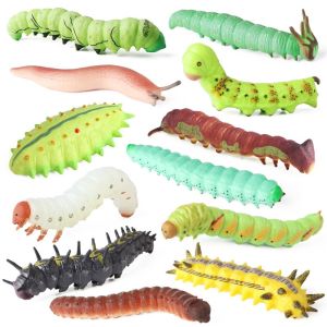 Soft Simulation Insect Models