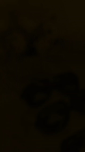 Kacamata safety punk windshield anti uv