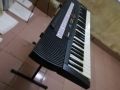 Đàn organ Casio CTK 520 L. 