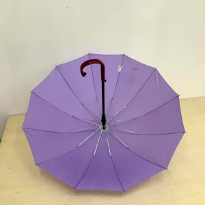 Umbrella Large 10 Bone Length 76cm Long Handle Windproof Full Steel Skeleton