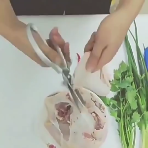Scissors Japan Kitchen Practical Scissors Heavy Duty Scissors Guting Gunting Pokok Gunting Dapur Gunting Ikan Tahan