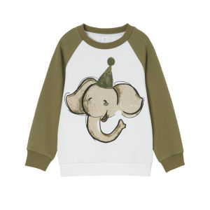 Kids round Neck Long Sleeve Sweatshirt Spring Autumn New Style Color Block Fun Shoulder Sleeve Base Shirt Boys Girls Clothing