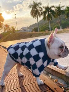 Thickened Plaid Warmth Pet Clothes for Dogs Autumn Winter Cotton Clothes Faux Fur Coats for French Bulldog Schnauzer Corgi