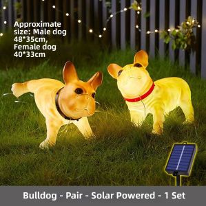 ANQIYUE | Solar Outdoor Decorative Light