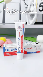 Gel Chấm Mụn DERMATIDEM PLUS Hỗ Trợ Giảm Mụn Mờ Thâm E&G Beauty 20g