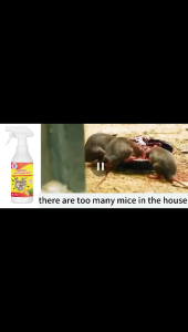 The mouse dared not enter the room!!! Rat Repellent Spray 500ml Anti Rat Spray No harm to people and pets mouse repellent spray Can be used indoors and outdoors in homes and cars rat repellent for home rat repellent for car engine