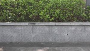 Collapsible Compact Bucket with Handle 10L(2.6 Gallon) Portable Water BucketOutdoor Multiuse Foldable Water Pail for Car Window Cleaning Camping Washing Dishes Picnic Fishing