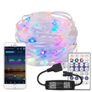 WS2812B Christmas RGB LED String Lights WS2812 Addressable Individually IC Dream Color LED Module USB Bluetooth Controller DC5V