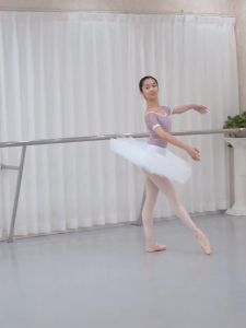 Professional Platter Tutu Black White Red Ballet Dance Costume For Women Tutu Ballet Adult Ballet Dance Skirt With Underwear