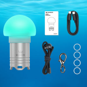 Wurkkos DL04 Mini Diving Flashlight Waterproof to 100 Meters 3000K Night Diving Beacon Light Outdoor Keychain Style