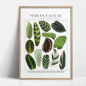 1pc Green Botanical Leaves Interior Art Print Houseplants Nature Indoors Canvas Wall Home Decor Calming Poster Foliage and Plant