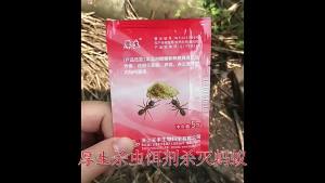 Housheng Cockroach Repellent Gel Powder Fipronil Large and Small Cockroach Killer Powder Bait Agent for Home Kitchen Use